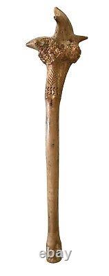 Antique Vintage Penobscot Native American Root War Club