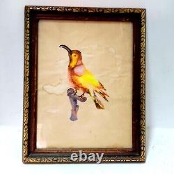 Old Vintage Hand Painting on Paper Watercolor Well Plate with Frame Luxury Wood