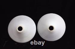 Vintage Antique Glass White Lamp Shade Set of 2 Home Decor Collectible PT-42