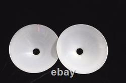 Vintage Antique Glass White Lamp Shade Set of 2 Home Decor Collectible PT-42