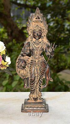 14'' Inches Vintage Shera Wali Maa Brass Statue Trident Durga Kali Figurine Hk01