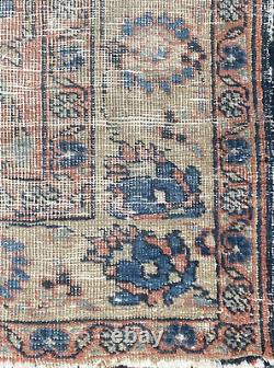 Arbre De Vie Antique Vintage Worn Faded Hand Knotted Handmade 100% Pure Wool Rug