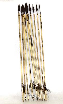 Ensemble de 10 flèches anciennes en bambou avec un véritable arc en plumes vintage des années 1870