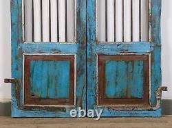 Paire de portes jali indiennes vintage pour la maison et le jardin